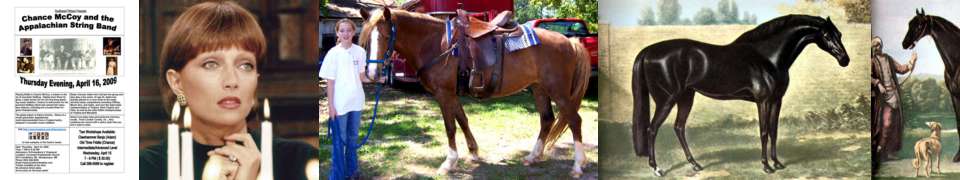 Free funny safety video clips, funny safety videos. Free funny safety video clips,